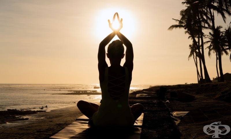 Spiritual Training Environment